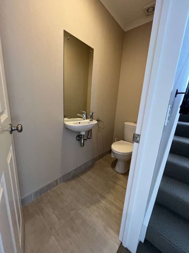 10 Seresin Crescent Flat Bush_3