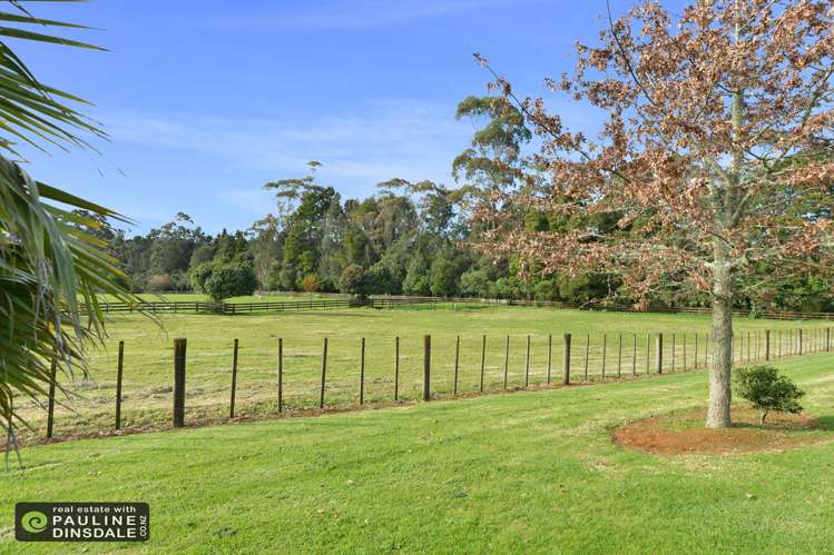 553 Crane Road Kauri_17