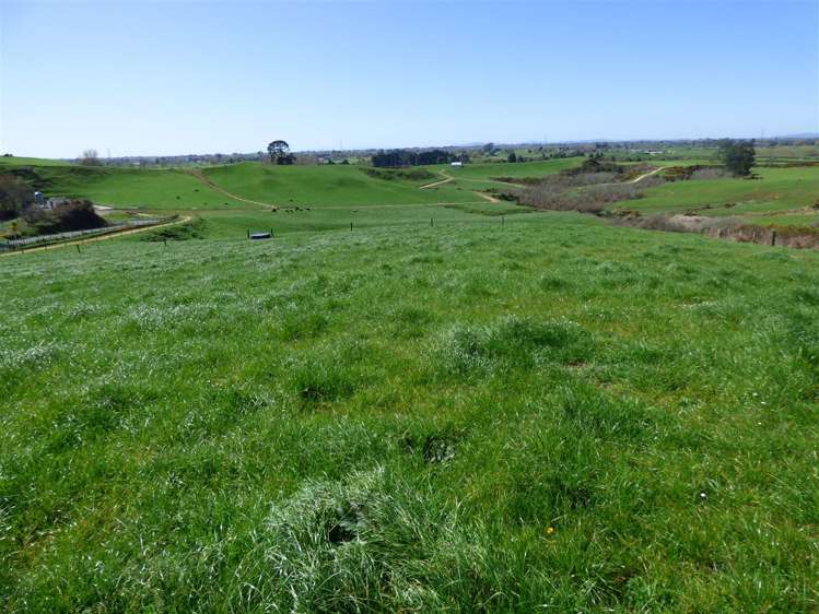 336 Grove Road Te Pahu_20