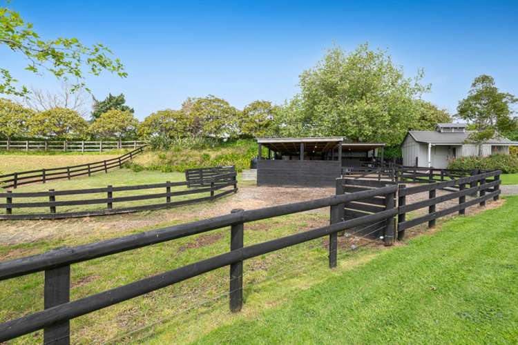 298 Rimmer Road Helensville_38
