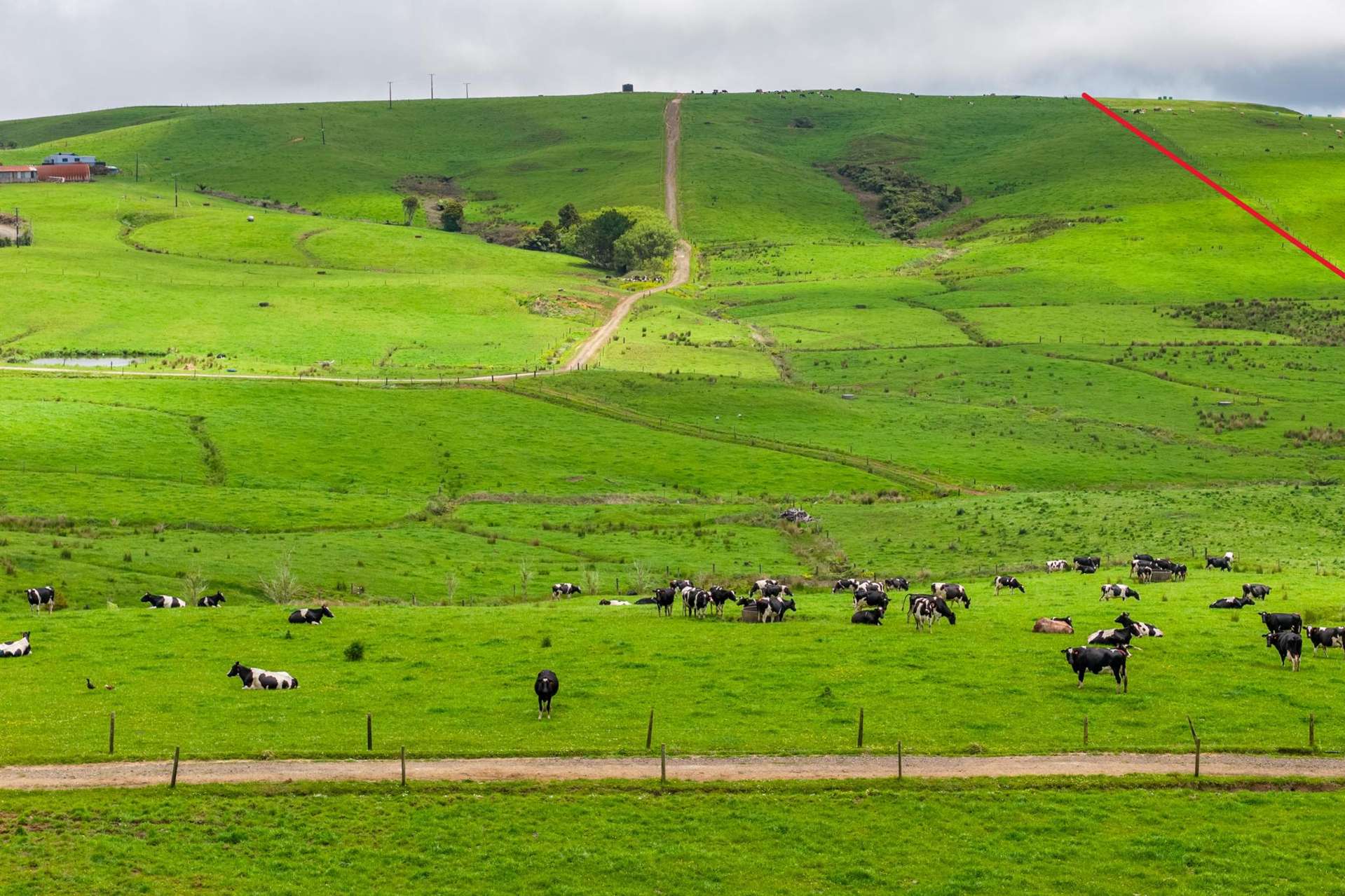 89 Jones Road Dargaville Surrounds_0