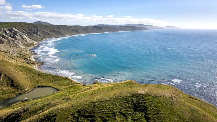 Paoanui Pourerere_19