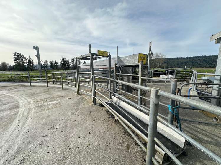 667 Kaniere-Kowhitirangi Road Kokatahi_10