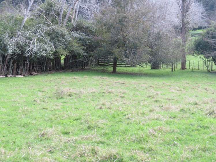 320 Ness Valley Road Ness Valley_19