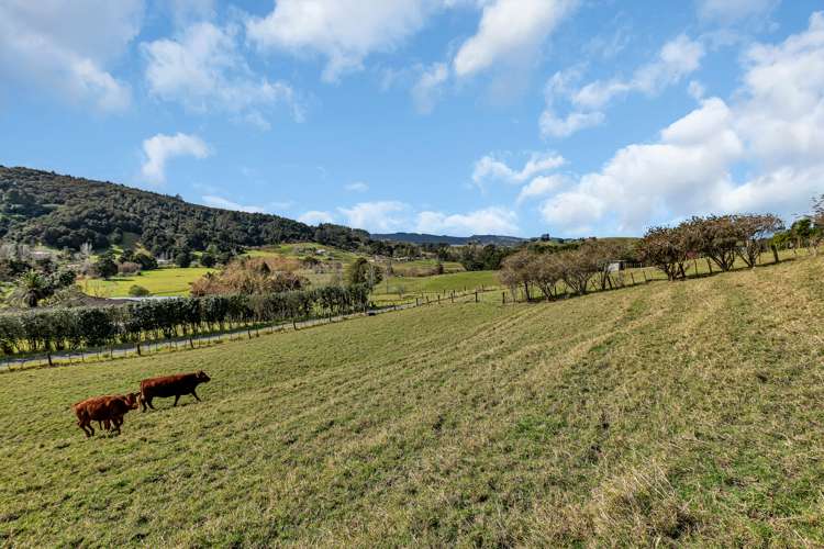 66a Valley View Road Otaika_11