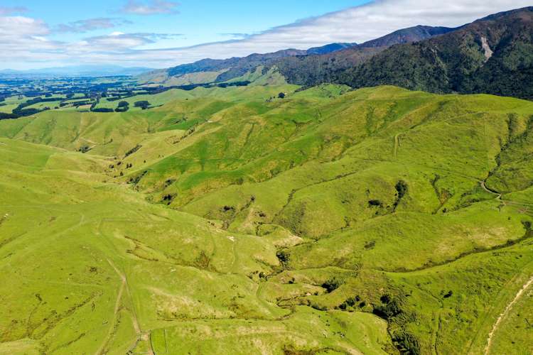 412 Tamaki West Road Dannevirke_14