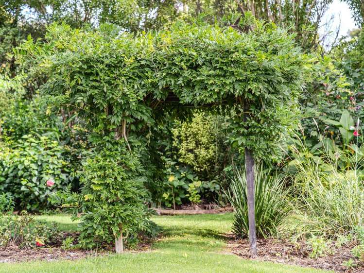 44L Darwin Road Kerikeri_33