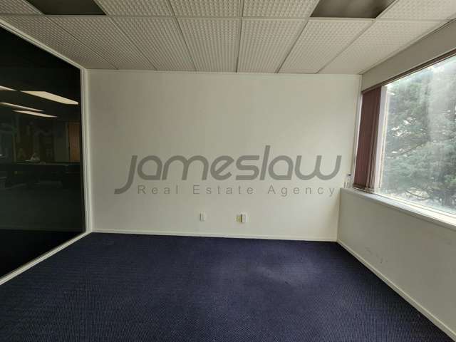 84 Harris Road East Tamaki_3