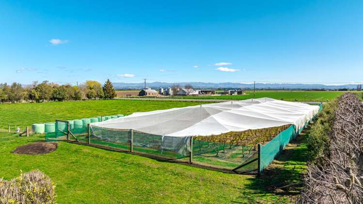 16 Arowhenua Station Road Kerrytown_83