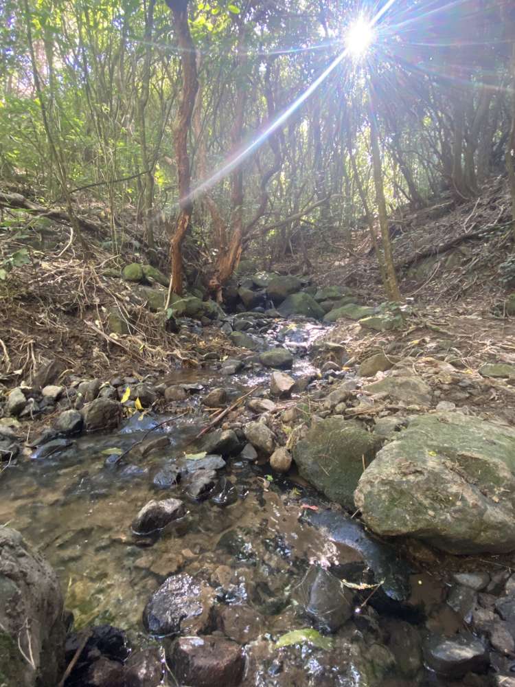 154 Usshers Road Little River_19