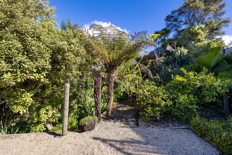 58 Government Road Raglan_37