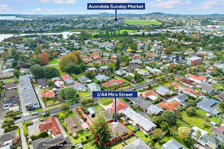 1/44 Miro Street New Lynn_21