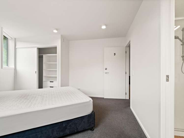 1 2 3/33 Malvern Street, Woodhaugh_12