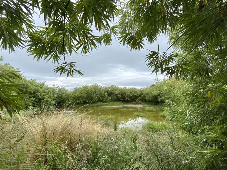 170 Trotter Road Woodlands_16