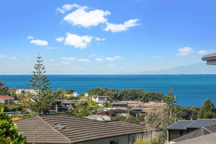 1/38 Hastings Road Mairangi Bay_19