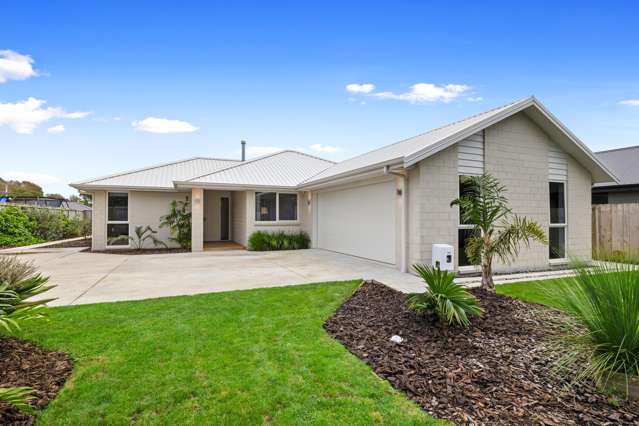 539 Manutahi Road Lepperton_2