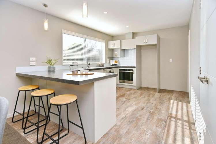 9b Amstel Lane Richmond_2