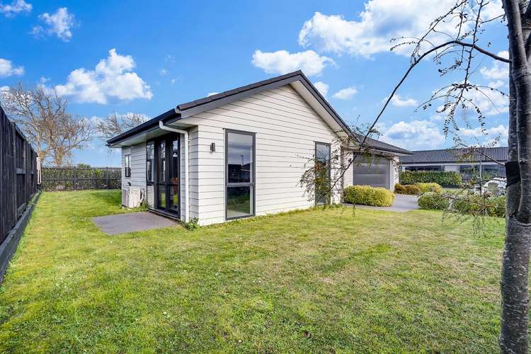 2 Harp Street Morrinsville_15