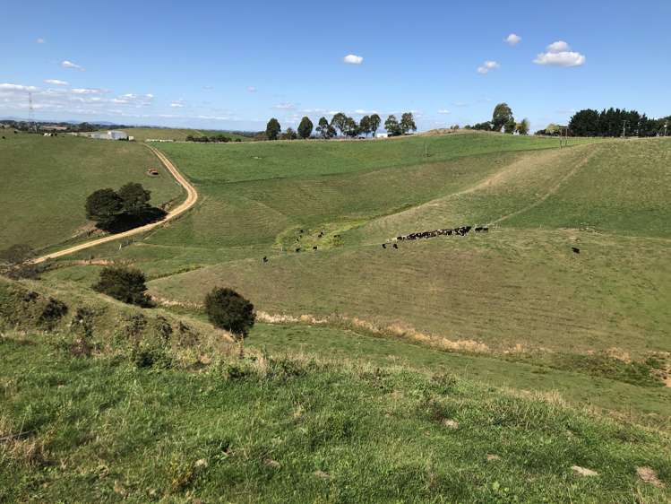 35 Grove Access Road Te Pahu_7