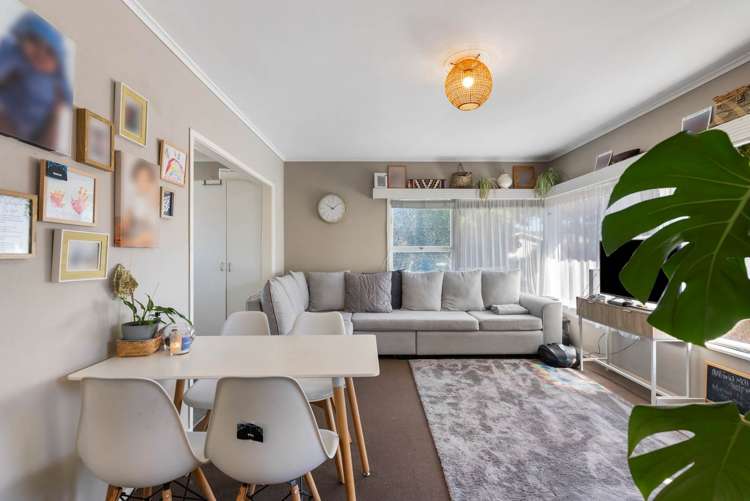 14 Mattson Road Pakuranga_6
