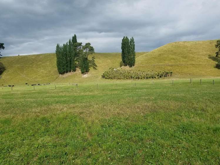 355 Horahora Road Hauraki Surrounds_11