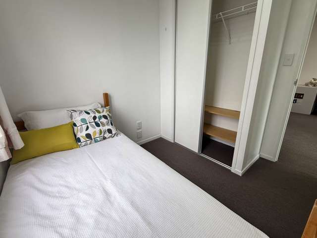 11F/113 Vincent Street City Centre_4