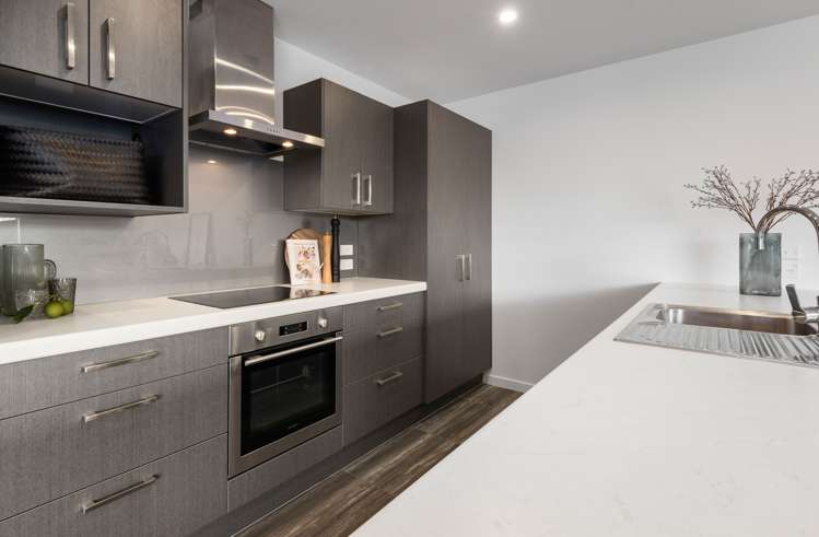 31 Seddon Street Sydenham_6