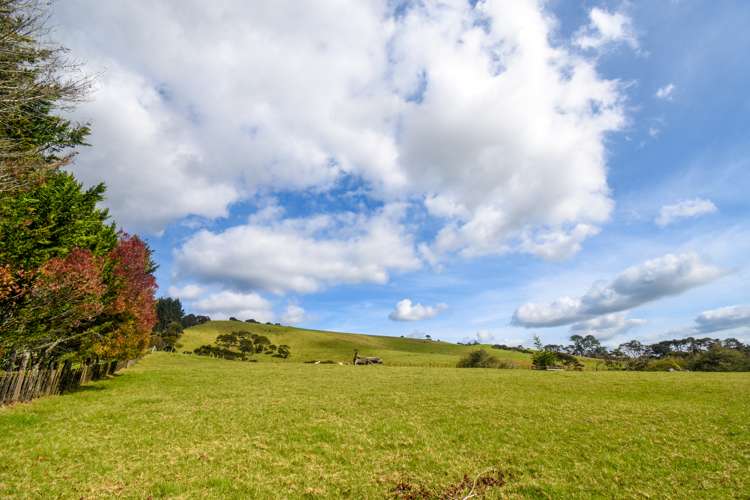 363 Ness Valley Road Ness Valley_34