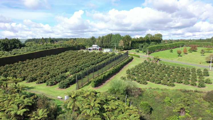 14 Merrick Road Pyes Pa_1