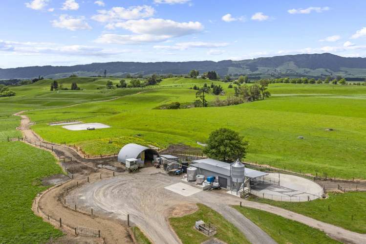 289/296 Tauranga Road Matamata_22