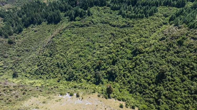 Lot 1 Rameka Creek Road Takaka_23