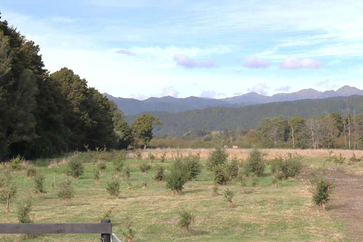 31 Riveredge Terrace Ohau_31