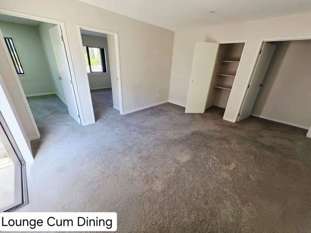 3 David Rogers Lane Swanson_3