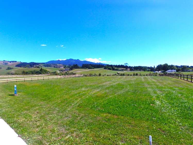 Lot 22 Baffin Street Pirongia_2