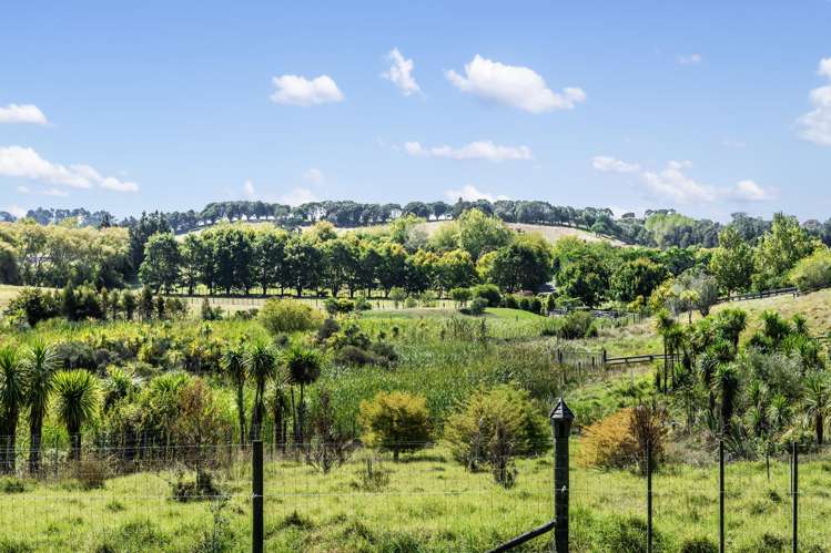 1539 State Highway 16 Helensville_34