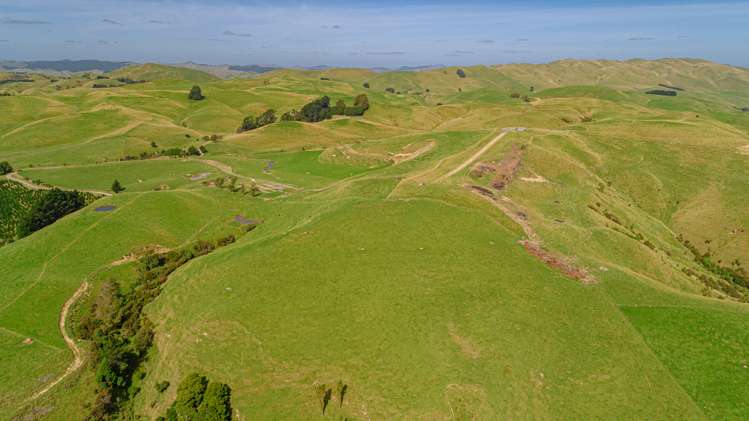 1094 Opaki Kaiparoro Road Rangitumau_14