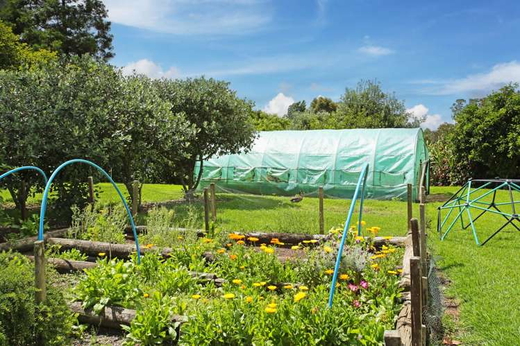 84 Wymer Road Glenbrook_16