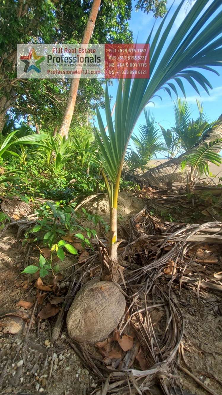 Address withheld Savusavu_26