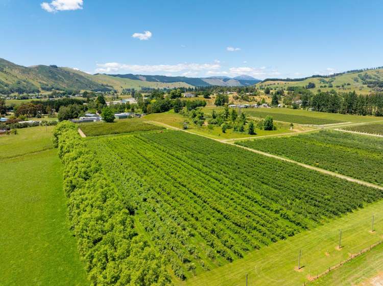 160 Tadmor Valley Road Tapawera_57