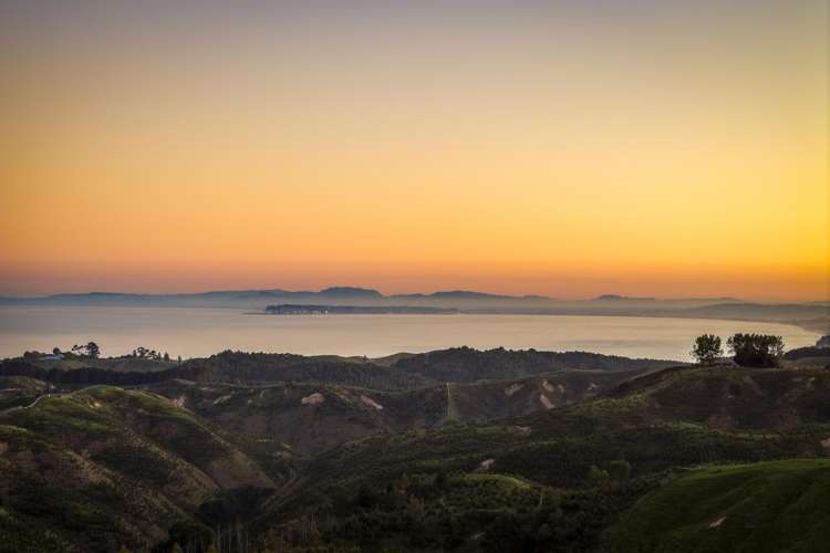 438 Tangoio Settlement Road Tangoio_24