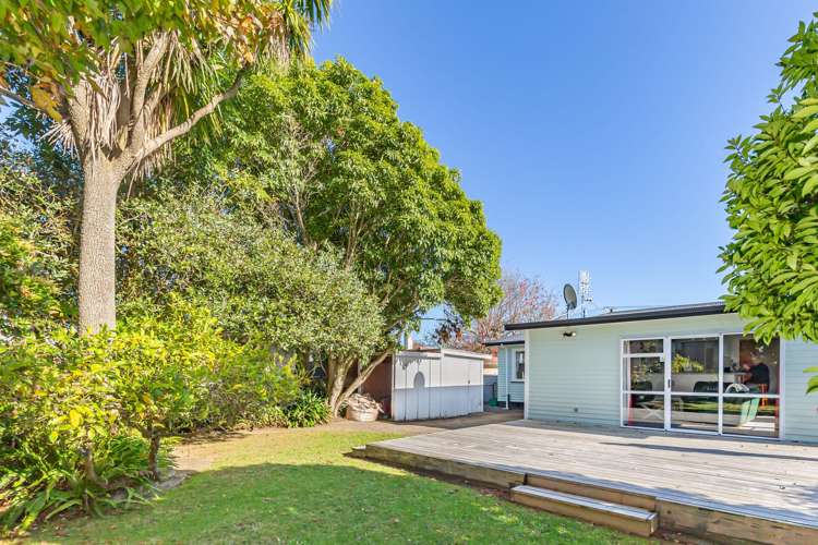 4 Gardener Street Levin_13