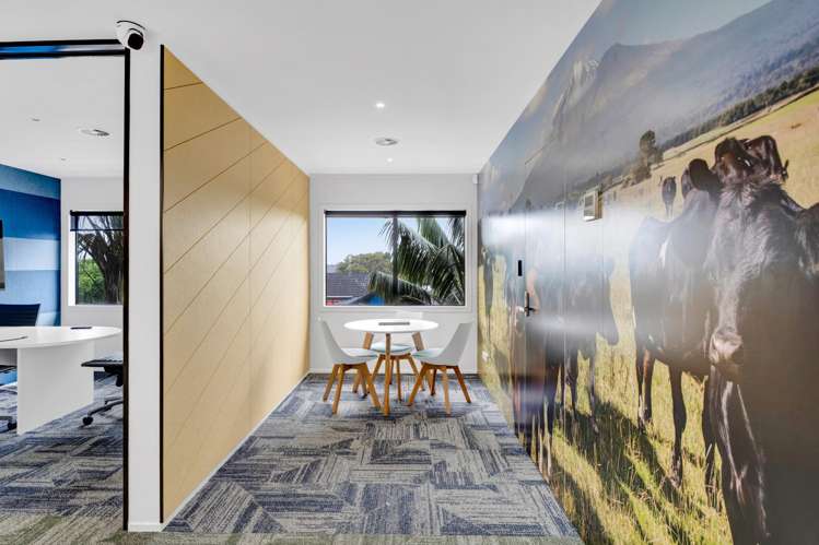 337 Devon Street East New Plymouth Central_4