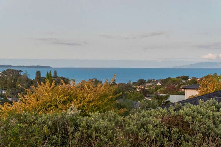 1/21 Mizpah Road Waiake_43