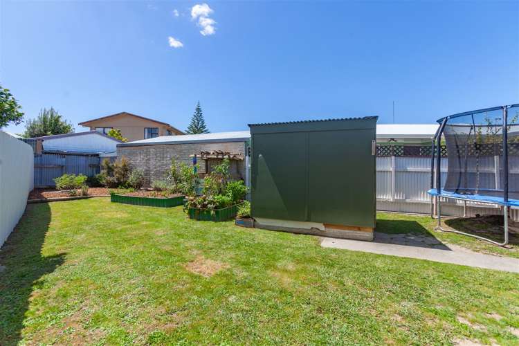 16 Guildford Street Tamatea_9