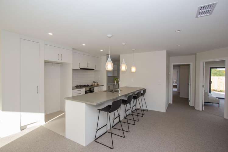 33 Farnworth Terrace Churton Park_2