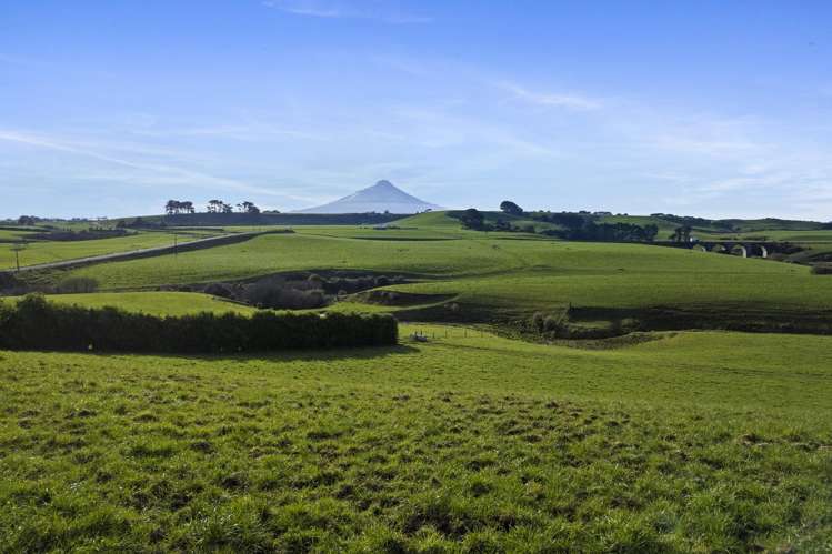 0n Skeet Road Te Roti_10