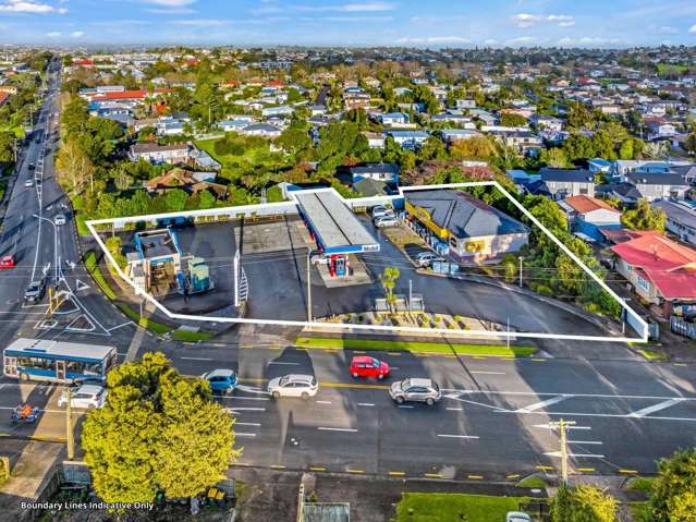 26 Titirangi Road New Lynn_1