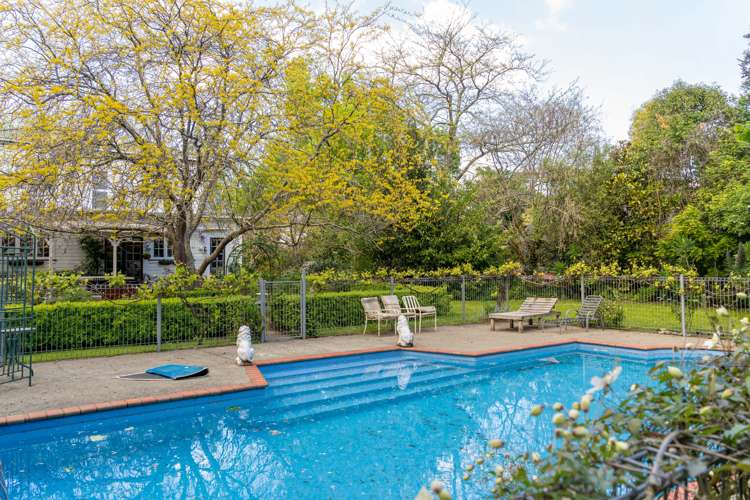 61 Kibblewhite Road Upper Plain_3