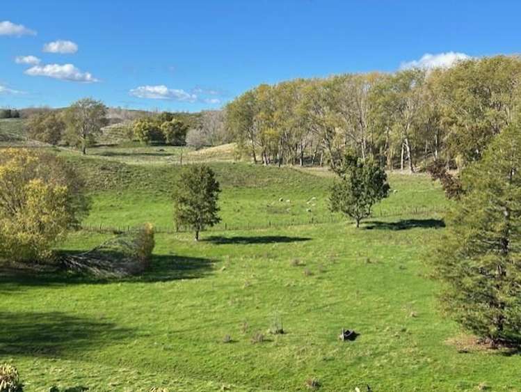 207 Rotowai Road Omakere_11