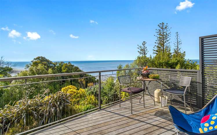 10 Tuawera Terrace Clifton_19